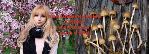 не бодяженный Абинск